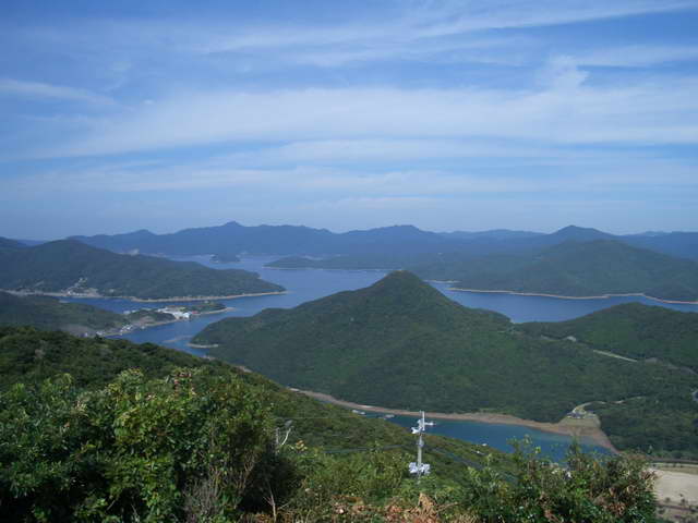Widok6