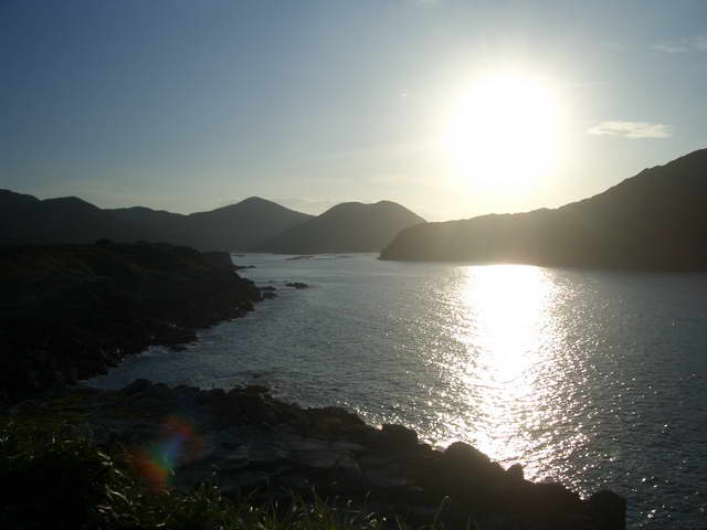 Widok8