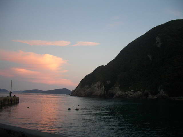 Widok9
