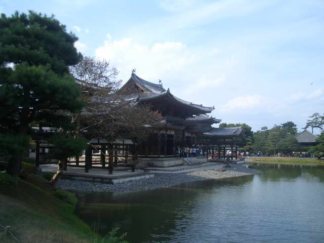 Ogrod2